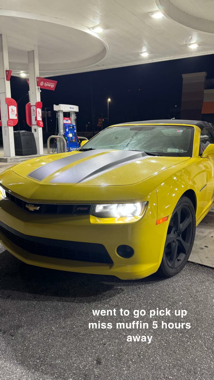 kaygcarlson snapchat image archive image