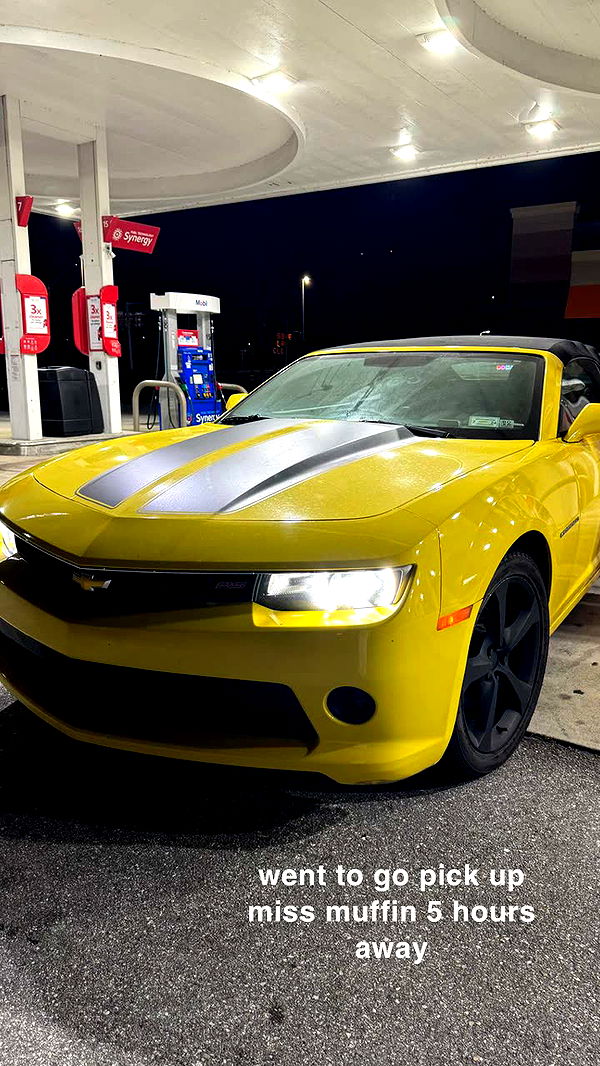 kaygcarlson image ~ Altpins