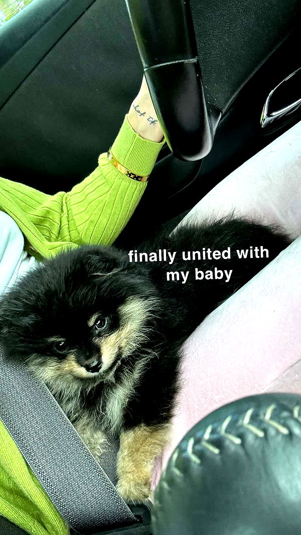 kaygcarlson image ~ Altpins