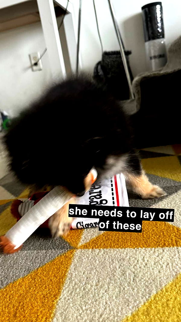 kaygcarlson image ~ Altpins