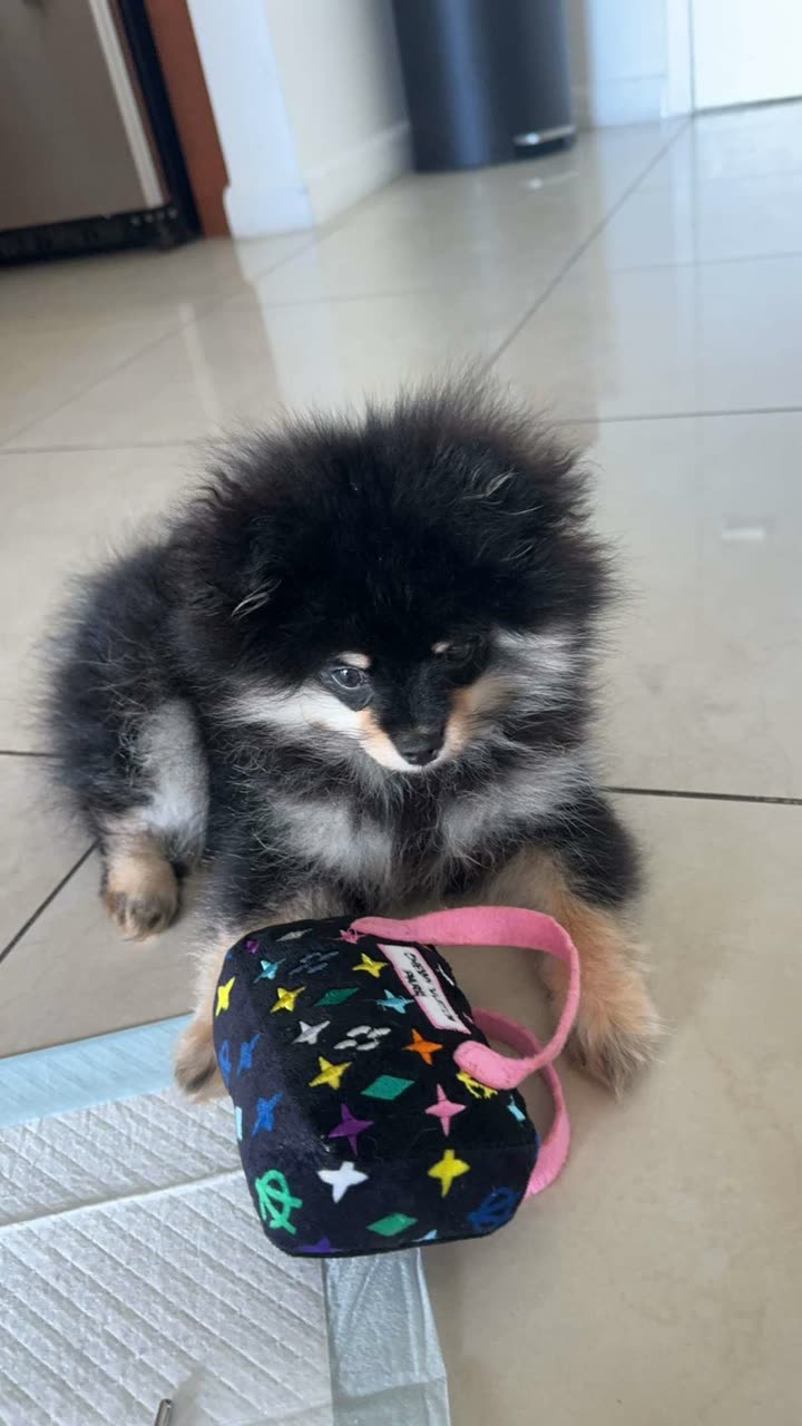 kaygcarlson snapchat image archive image