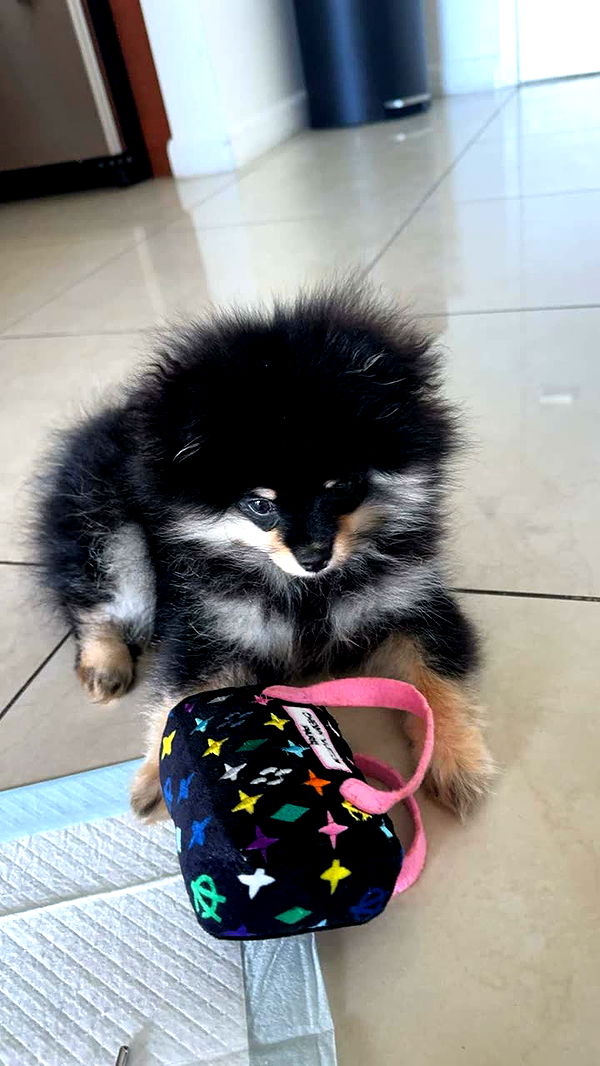 kaygcarlson image ~ Altpins