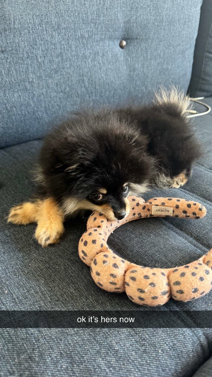 kaygcarlson snapchat image archive image