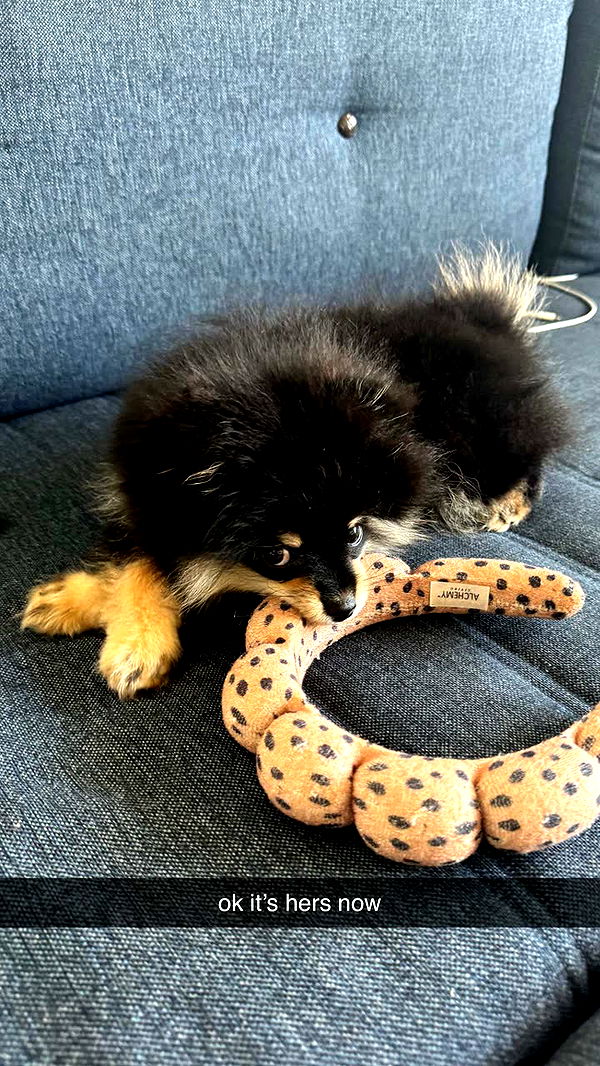 kaygcarlson image ~ Altpins