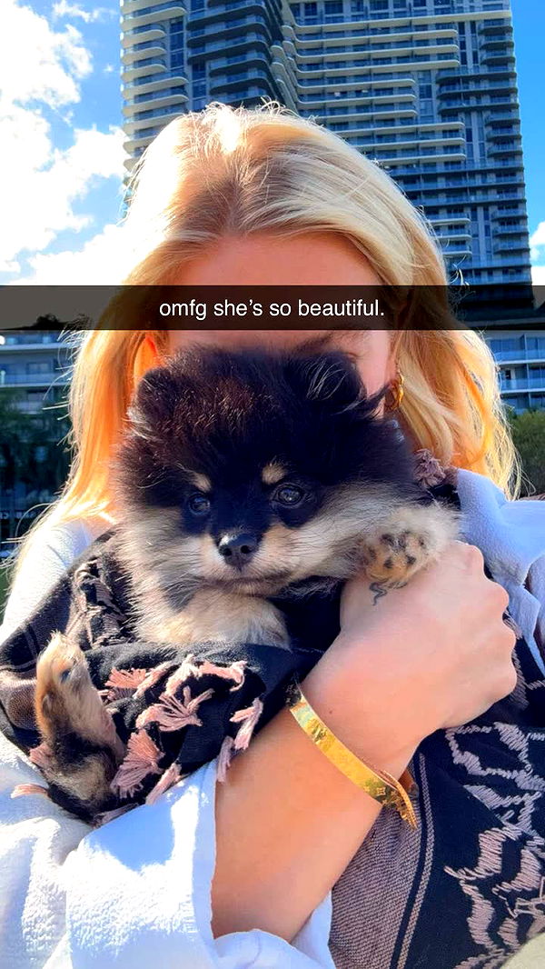 kaygcarlson image ~ Altpins