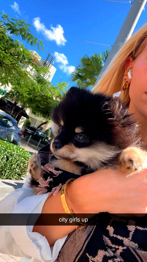 kaygcarlson image ~ Altpins