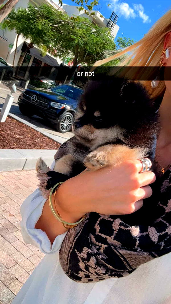 kaygcarlson image ~ Altpins