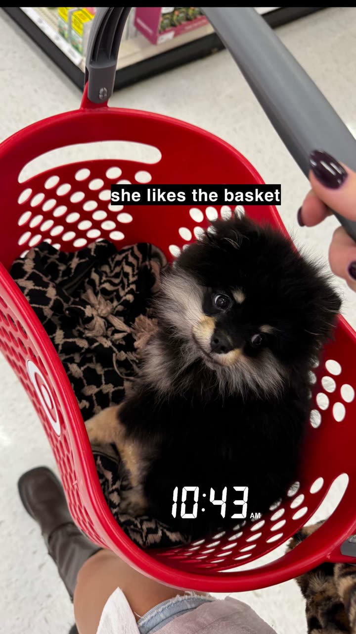 kaygcarlson snapchat image archive image