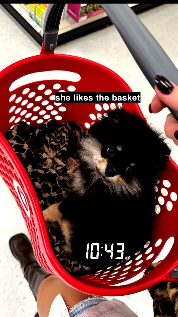 kaygcarlson image ~ Altpins