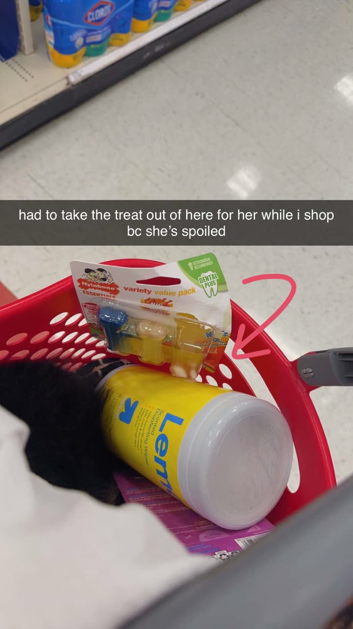 kaygcarlson snapchat image archive image