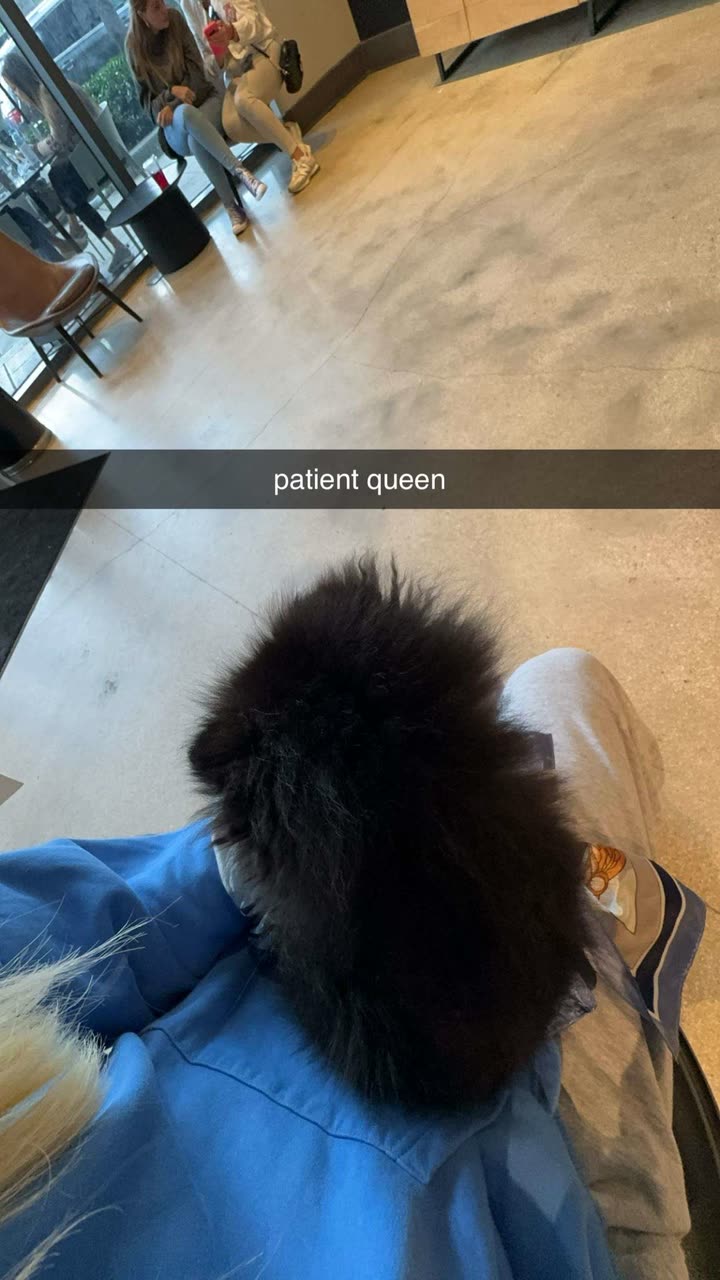 kaygcarlson snapchat image archive image