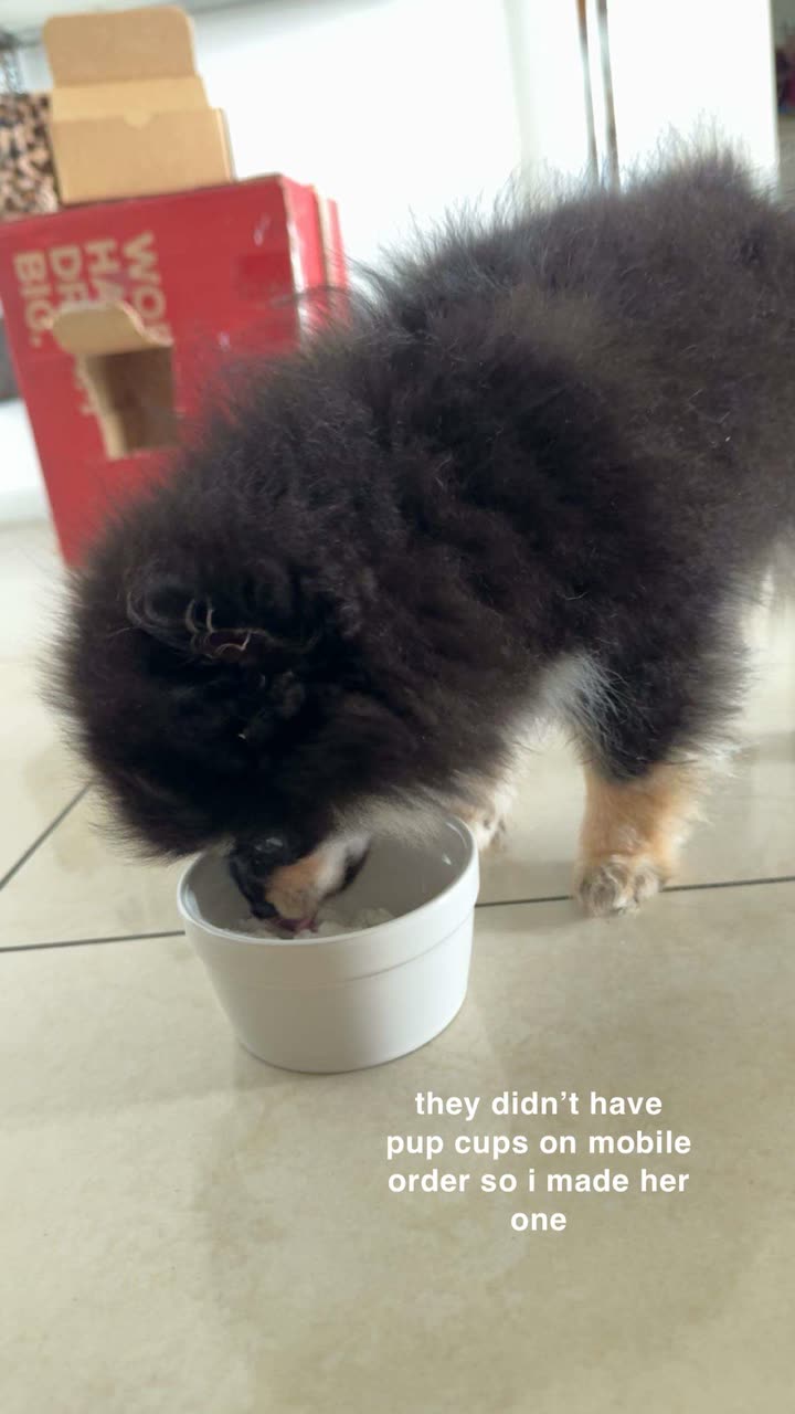 kaygcarlson snapchat image archive image