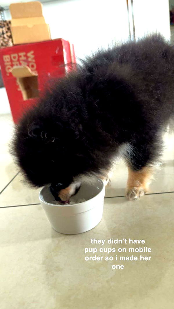 kaygcarlson image ~ Altpins