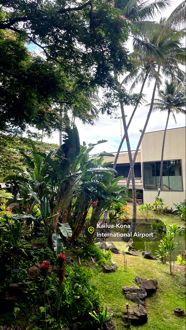 kaygcarlson image ~ Altpins