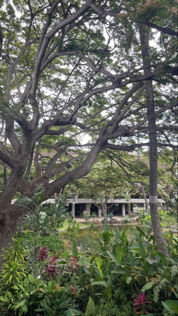 kaygcarlson snapchat image archive image