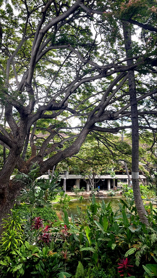 kaygcarlson image ~ Altpins