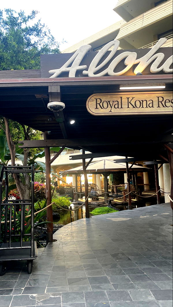 kaygcarlson image ~ Altpins