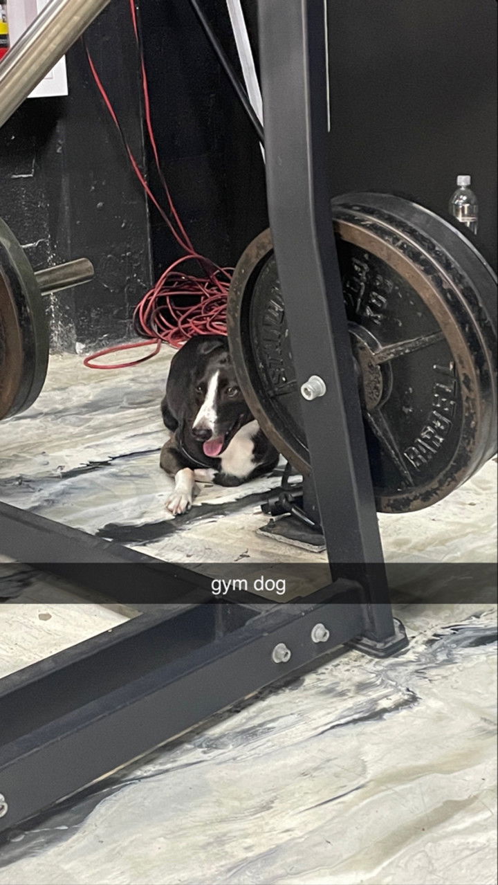 kaygcarlson snapchat image archive image