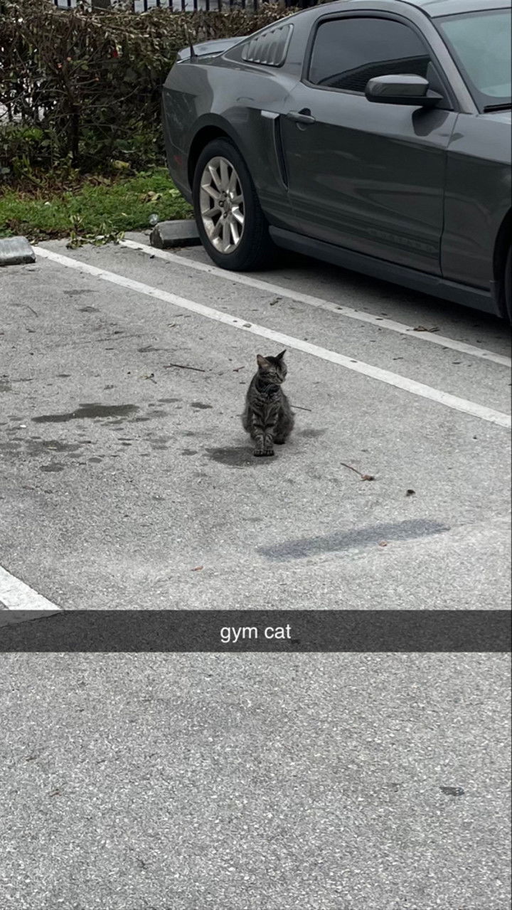 kaygcarlson snapchat image archive image