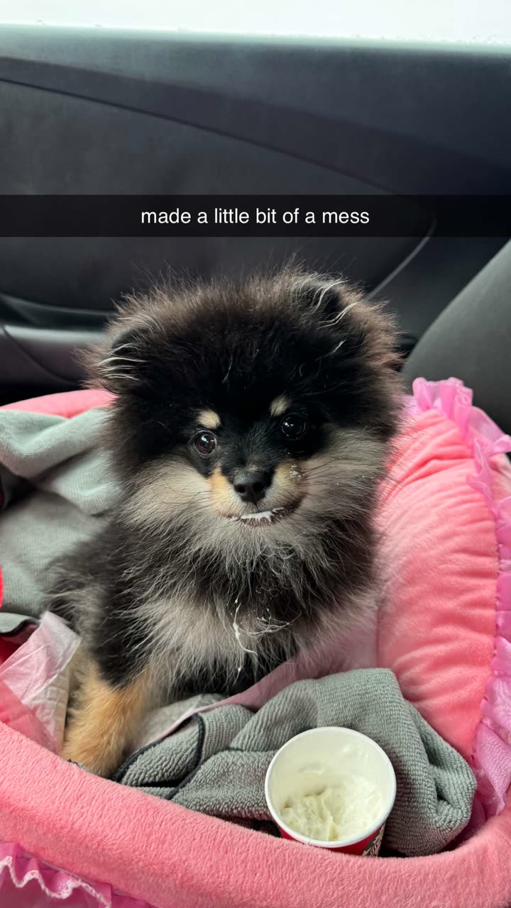 kaygcarlson snapchat image archive image