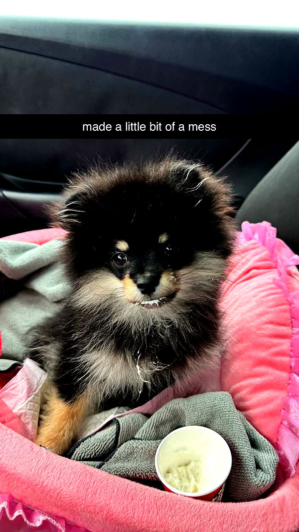 kaygcarlson image ~ Altpins