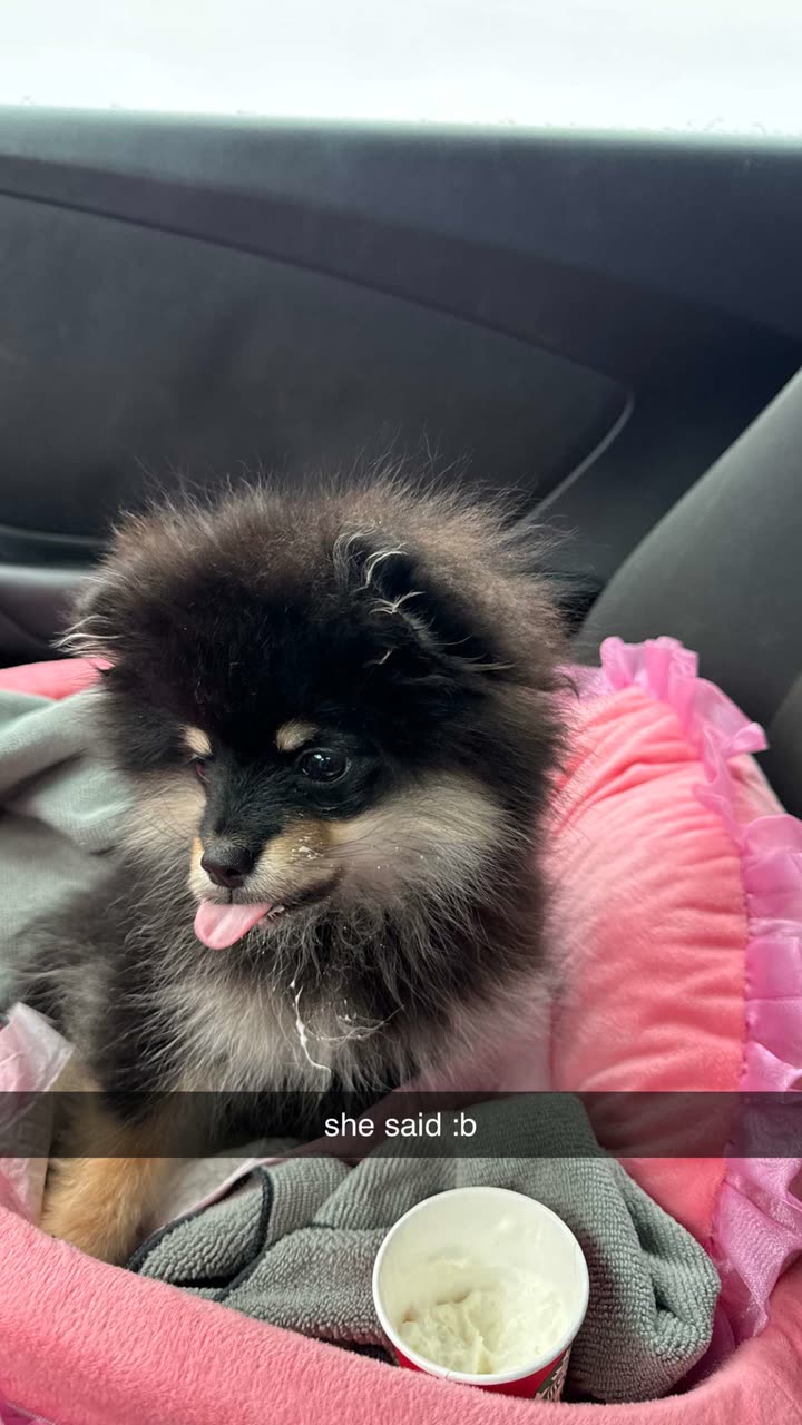 kaygcarlson snapchat image archive image