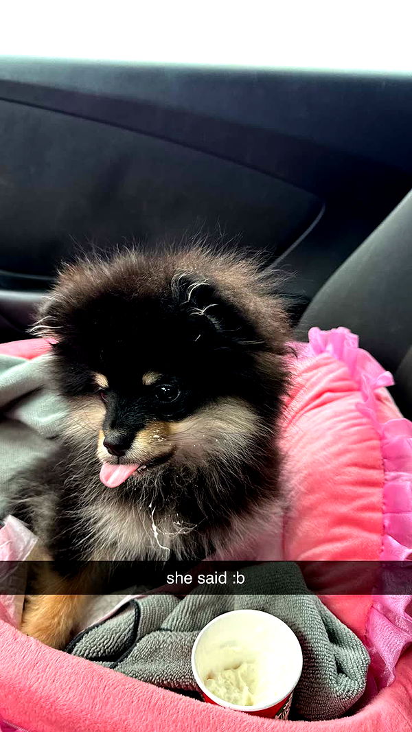 kaygcarlson image ~ Altpins