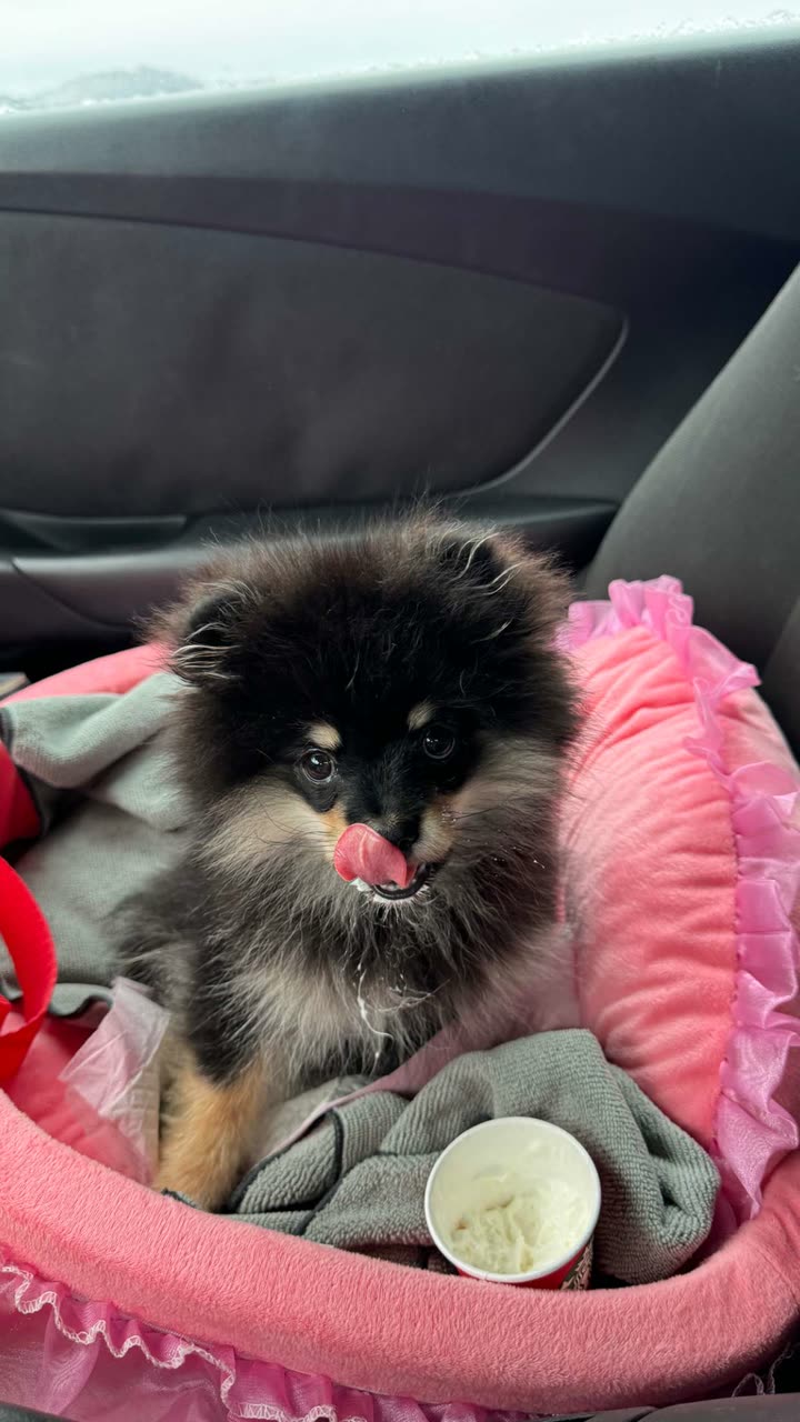 kaygcarlson snapchat image archive image