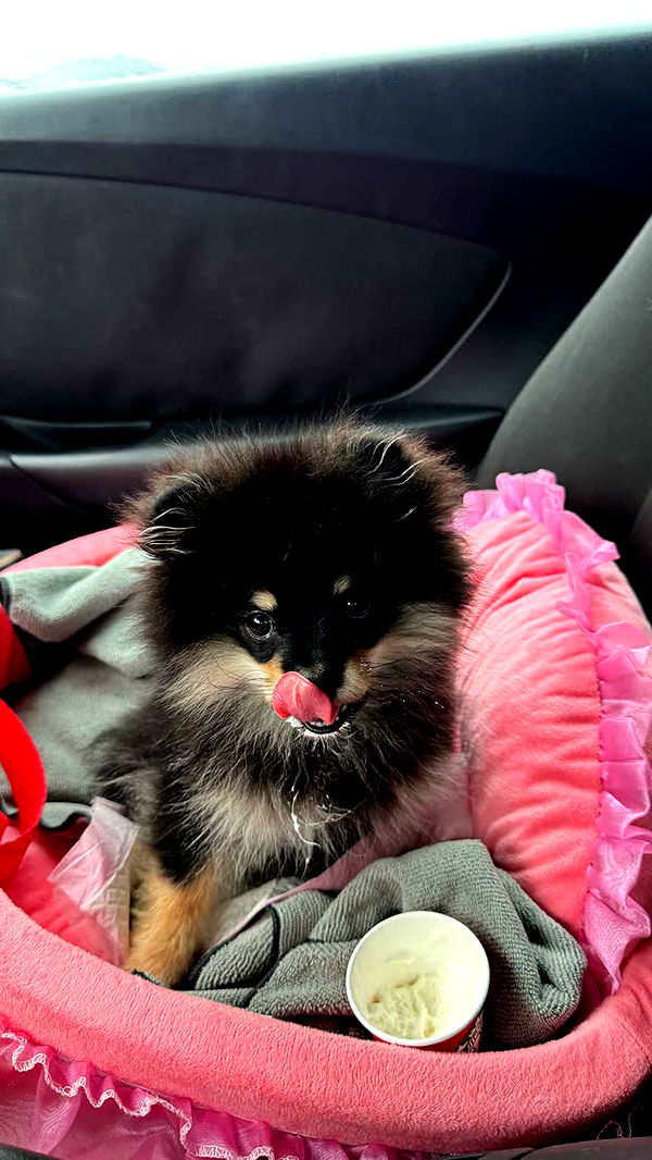 kaygcarlson image ~ Altpins