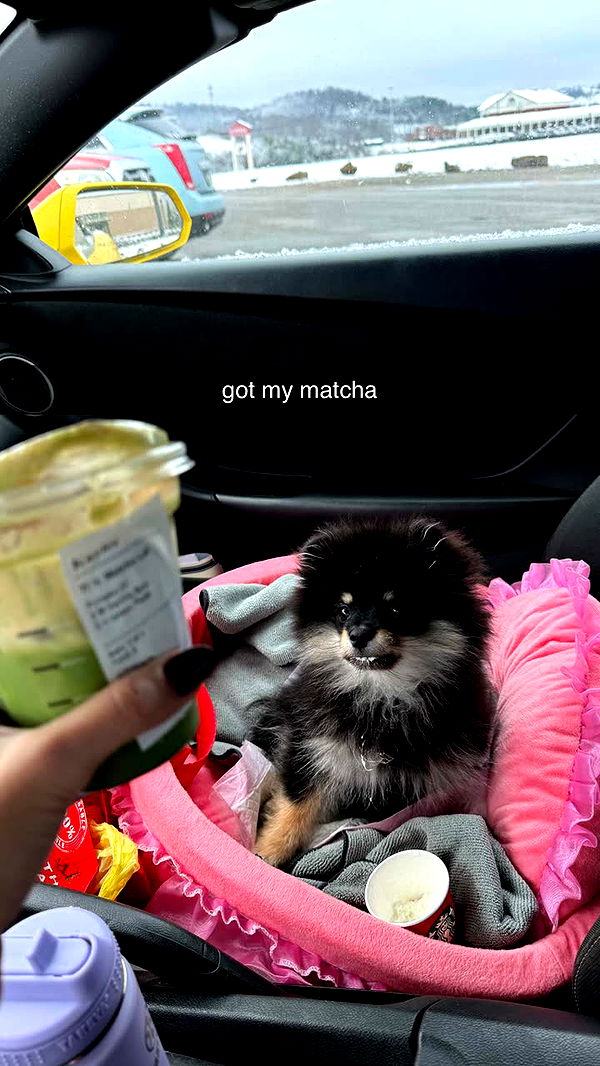 kaygcarlson image ~ Altpins