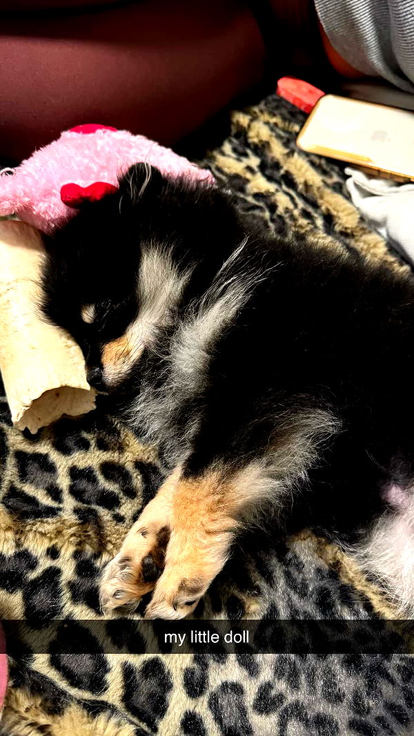 kaygcarlson image ~ Altpins