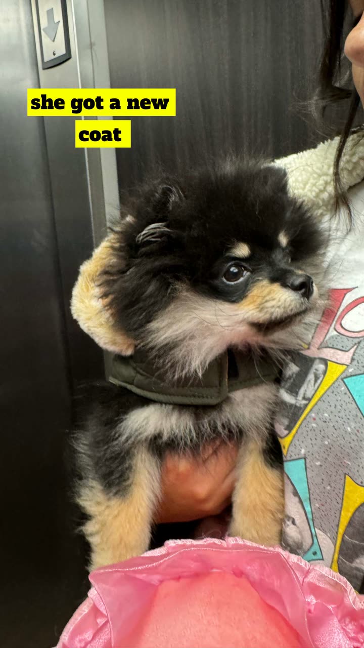 kaygcarlson snapchat image archive image