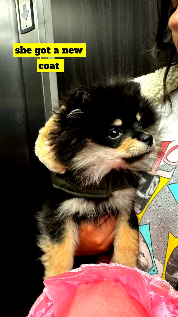 kaygcarlson image ~ Altpins