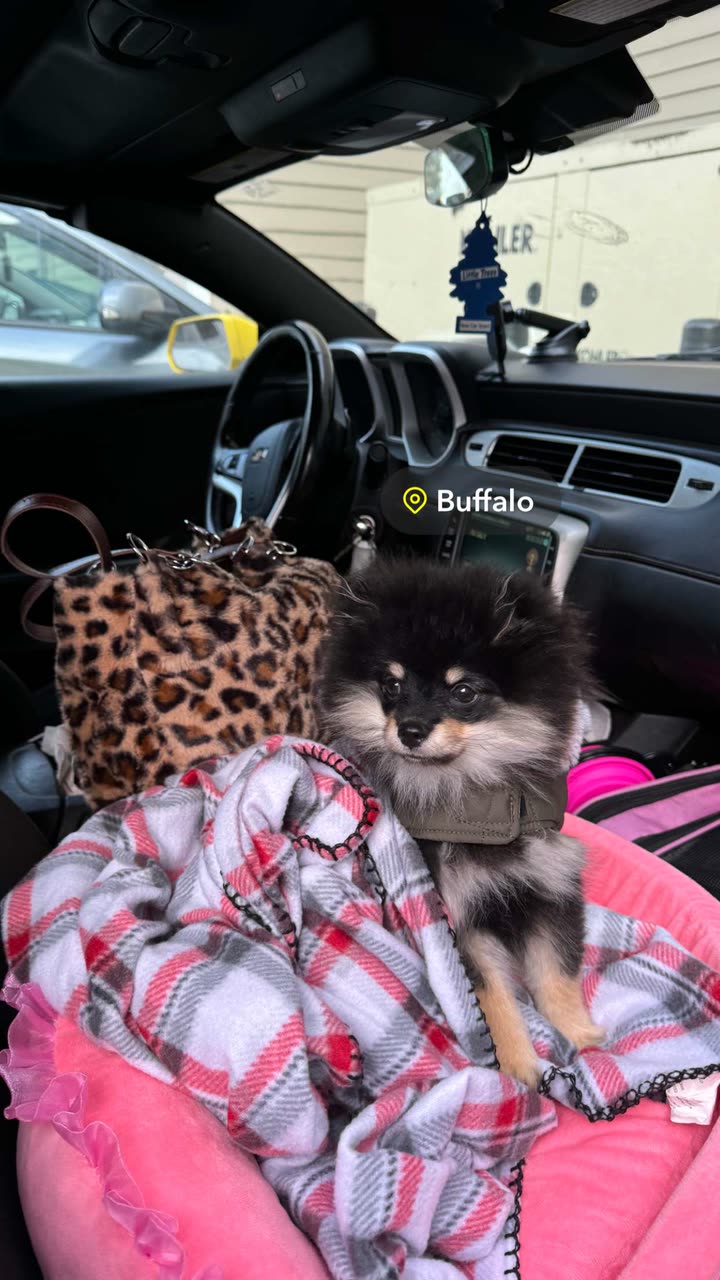 kaygcarlson snapchat image archive image