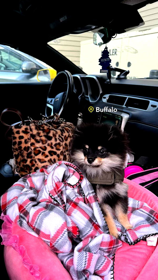 kaygcarlson image ~ Altpins