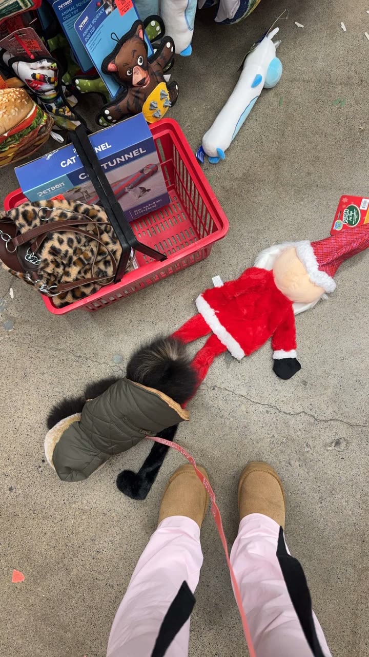 kaygcarlson snapchat image archive image