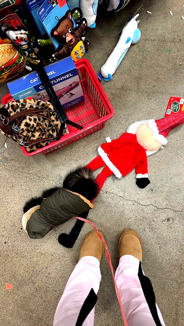 kaygcarlson image ~ Altpins