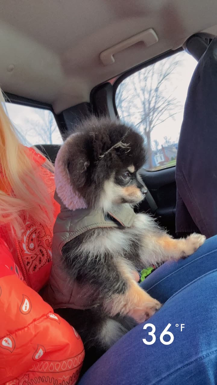 kaygcarlson snapchat image archive image