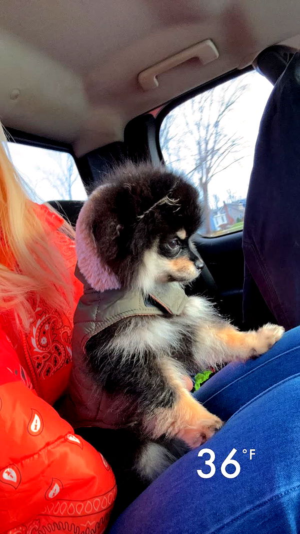 kaygcarlson image ~ Altpins