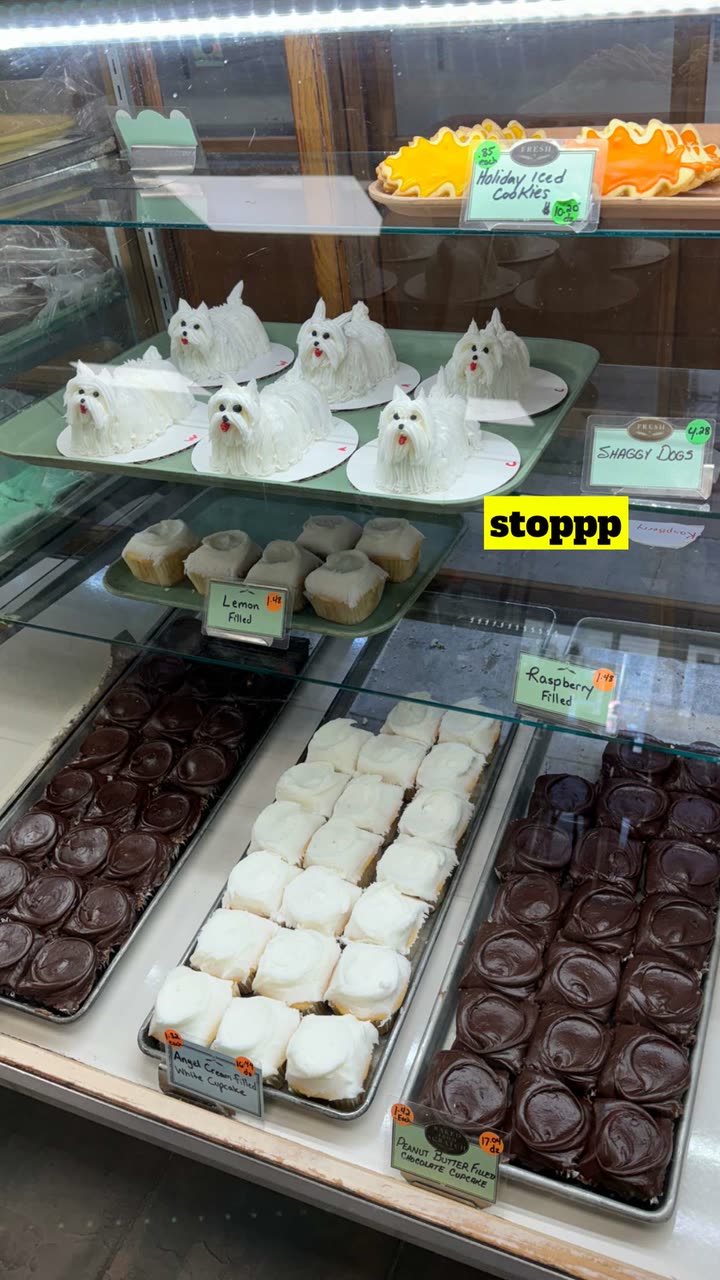 kaygcarlson snapchat image archive image