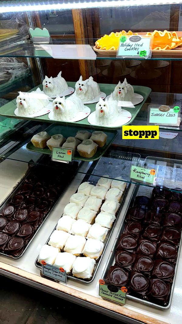 kaygcarlson image ~ Altpins