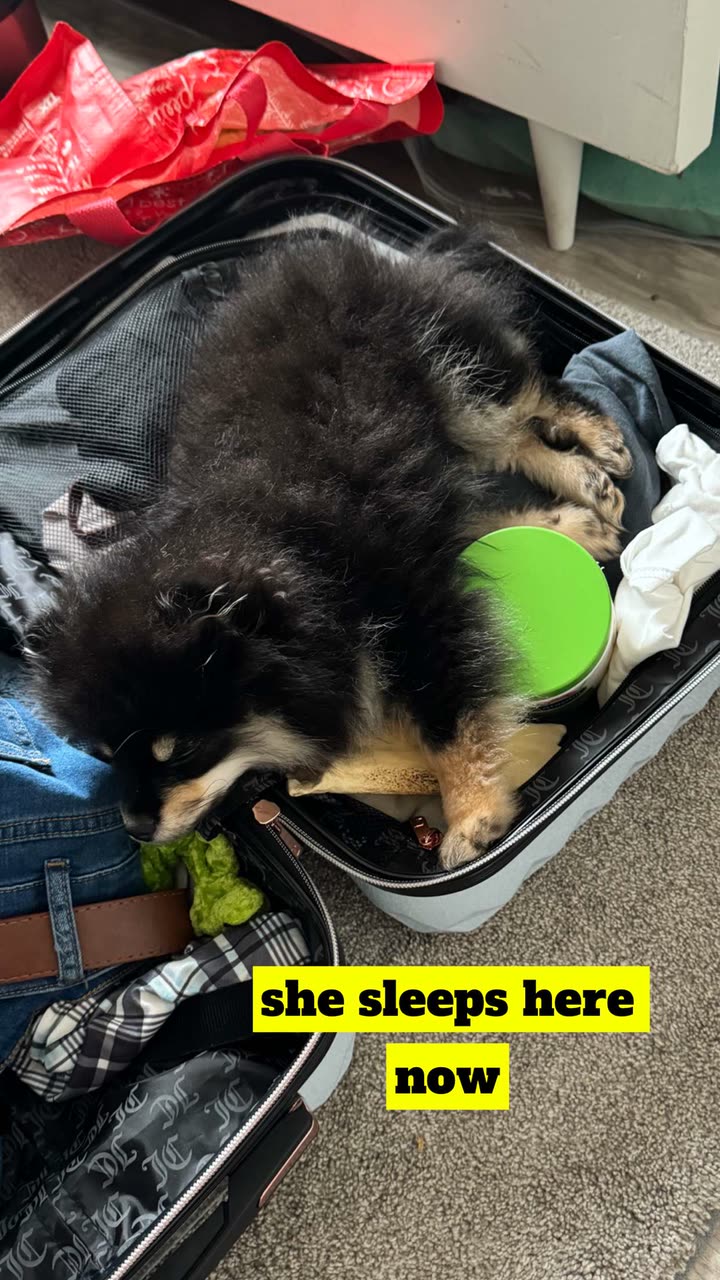 kaygcarlson snapchat image archive image