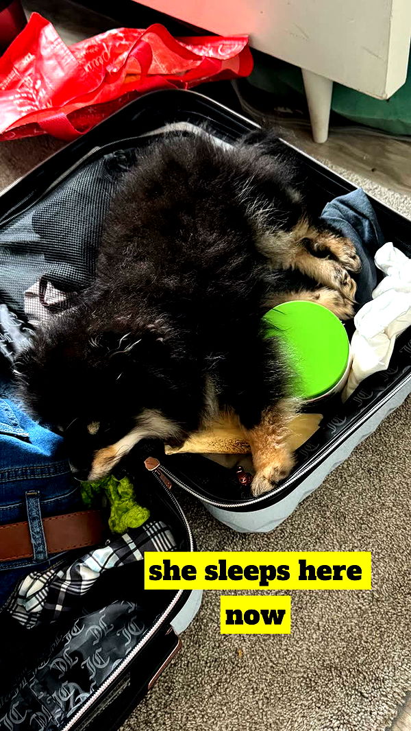 kaygcarlson image ~ Altpins