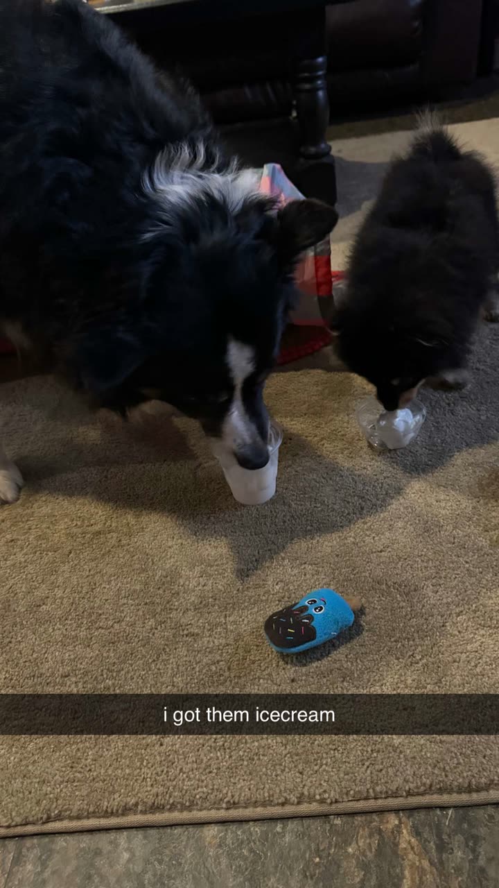 kaygcarlson snapchat image archive image