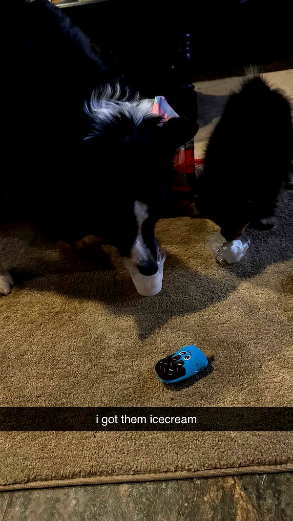 kaygcarlson image ~ Altpins