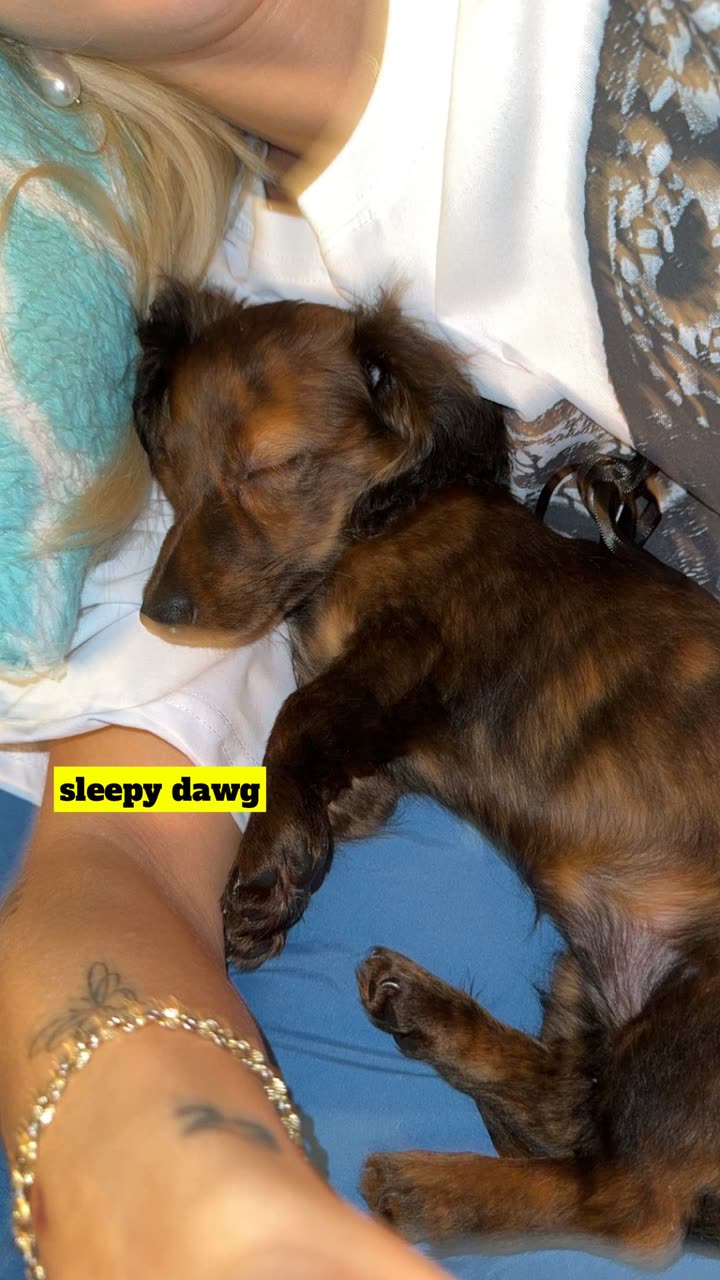 kaygcarlson snapchat image archive image