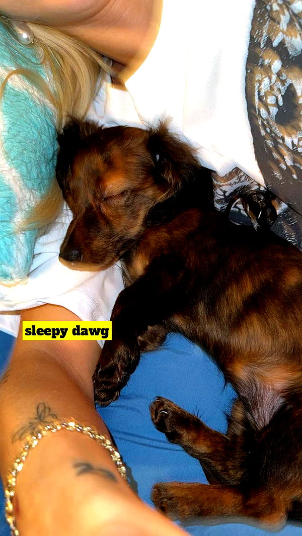 kaygcarlson image ~ Altpins