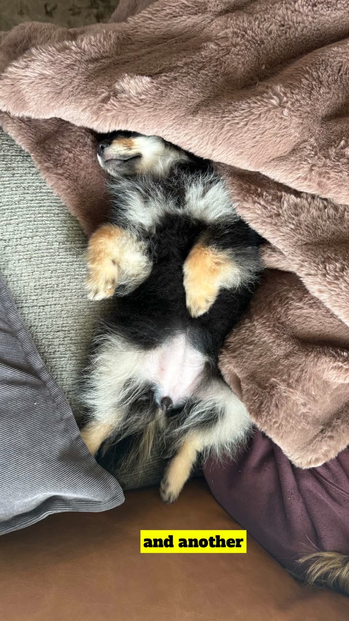 kaygcarlson snapchat image archive image