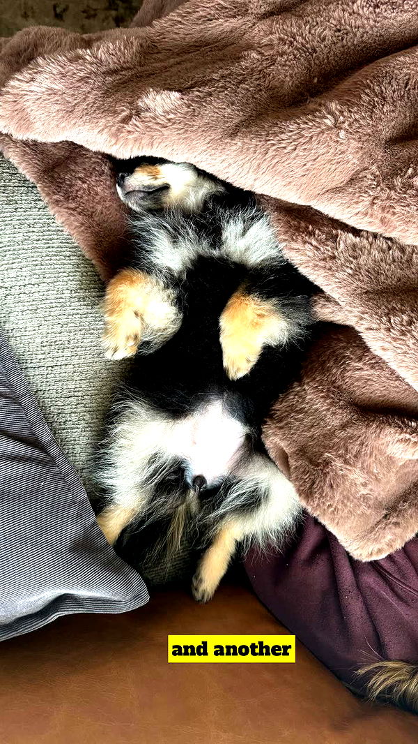 kaygcarlson image ~ Altpins