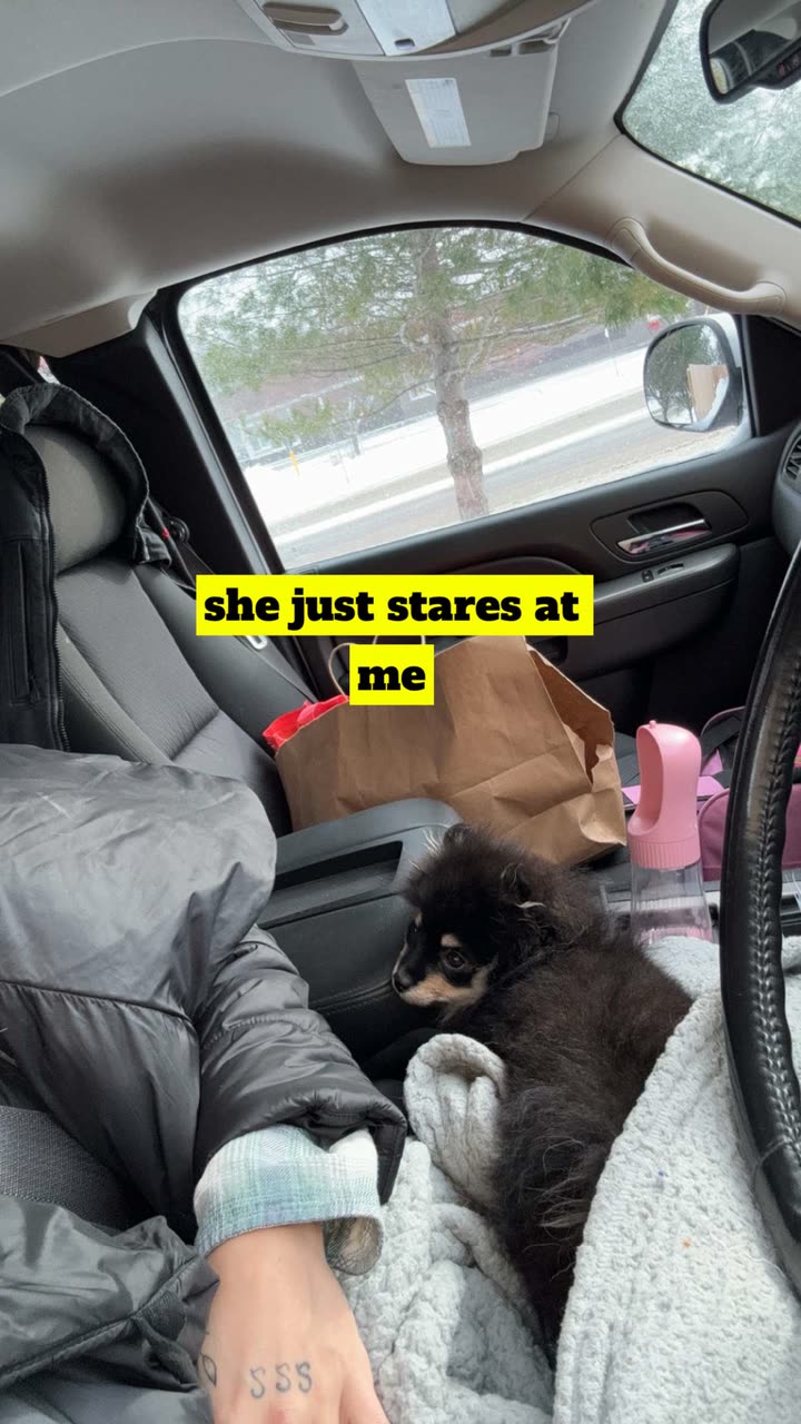 kaygcarlson snapchat image archive image